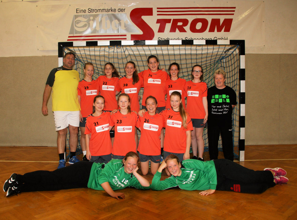 Schneeberg Handball