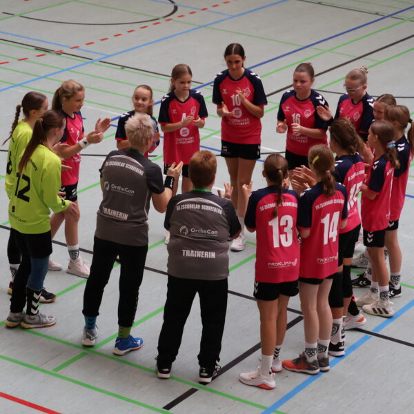 D-Jugend unterliegt starkem BSV Limbach-Oberfrohna